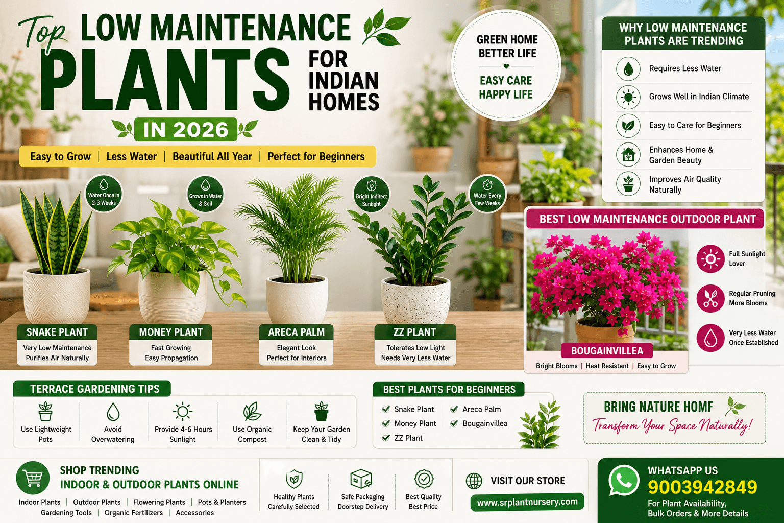 Blog post image for Top Low Maintenance Plants for Indian Homes in 2026 – Best Indoor & Outdoor Plants