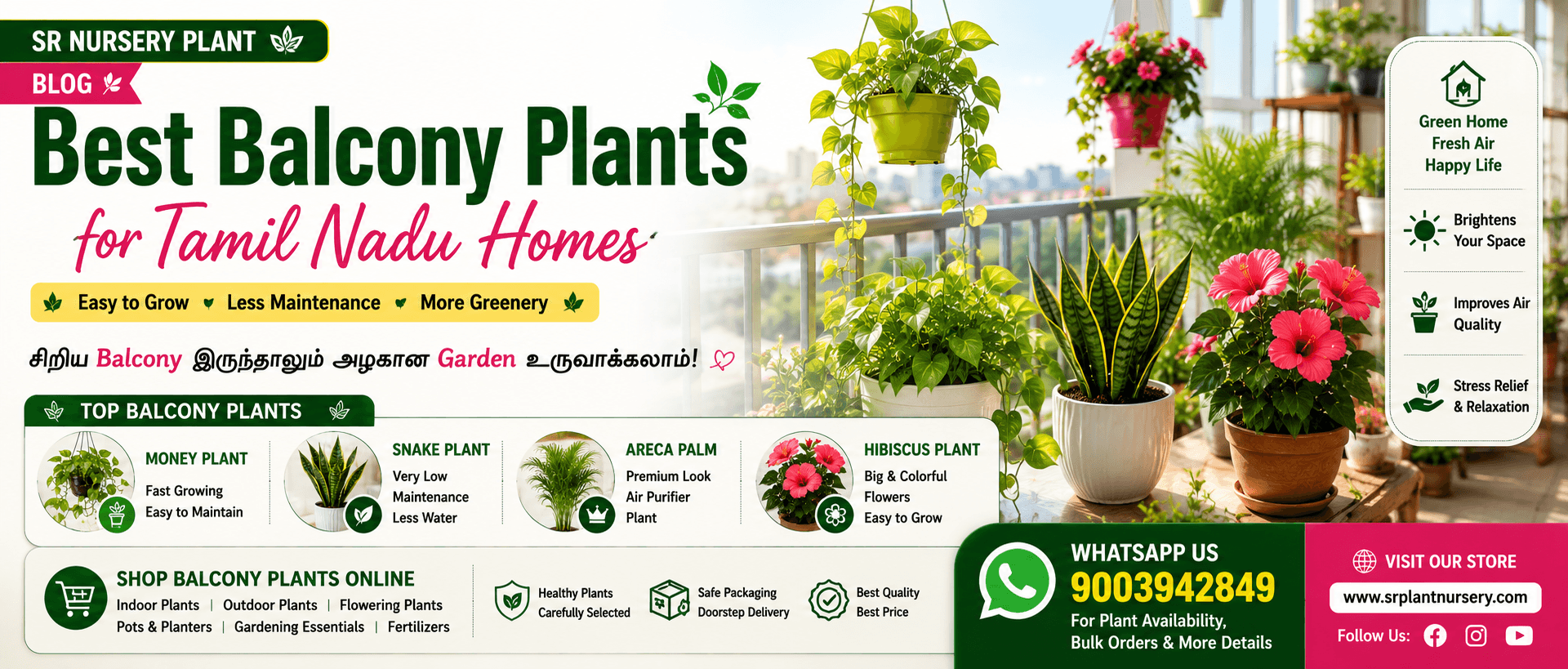 Featured post: Best Balcony Plants for Tamil Nadu Homes – Easy Gardening Tips