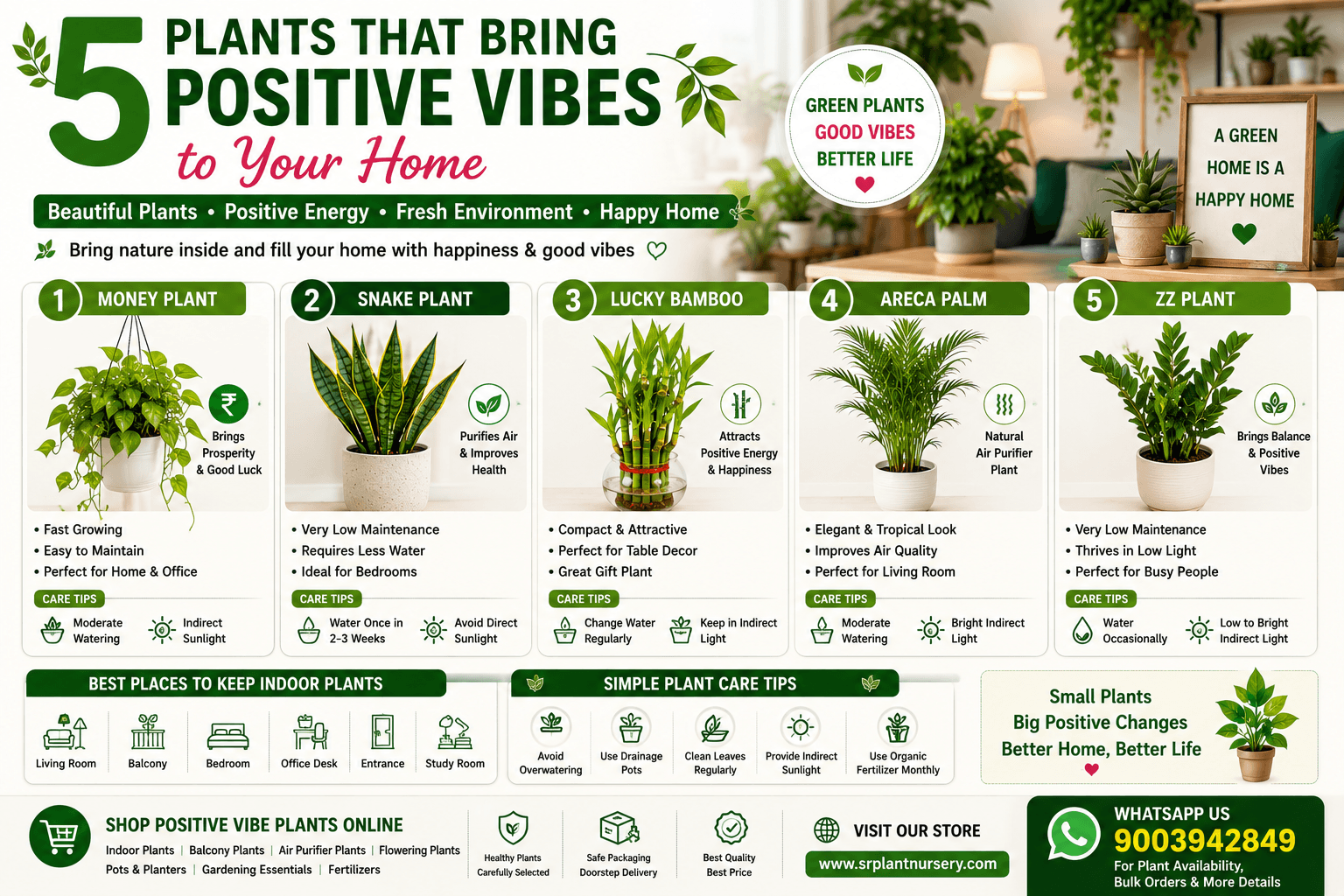 Blog post image for 5 Plants That Bring Positive Vibes to Your Home – Trending Home Plants in India