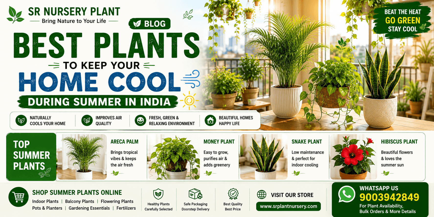 Featured post: Best Plants to Keep Your Home Cool During Summer in India