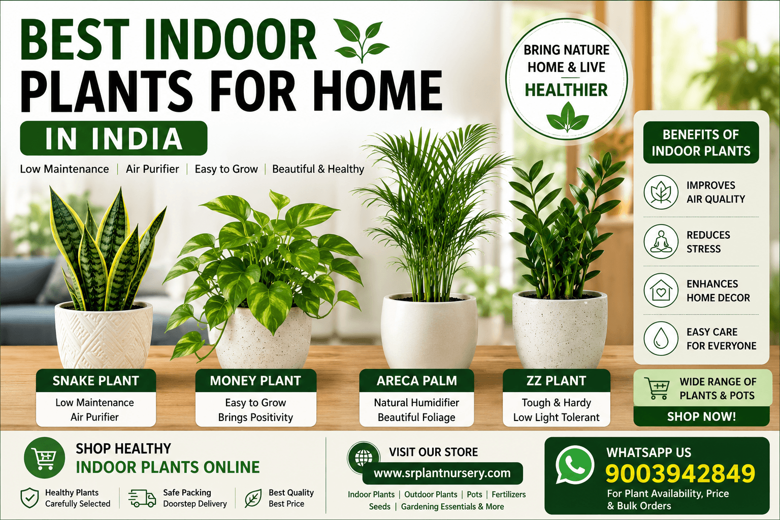 Blog post image for Best Indoor Plants for Home in India – Low Maintenance & Air Purifier Plants